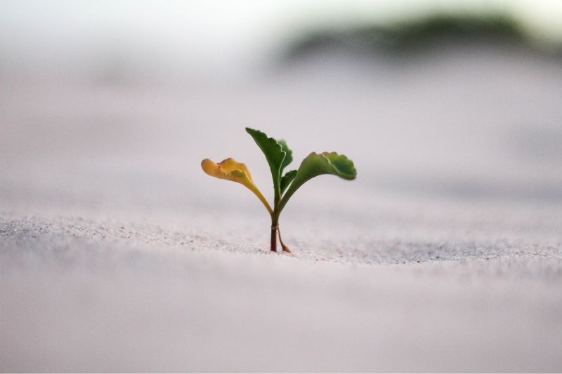 Become Unstoppable: 7 Transformative Self-Growth Tips That Work #obimagazine #obimag #transformativeself-growth #SMARTgoals #selfgrowthtips #personalgrowth