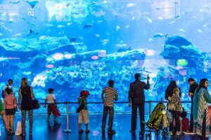 Aquarium Tickets & Dubai Aquarium & Zoo Guide